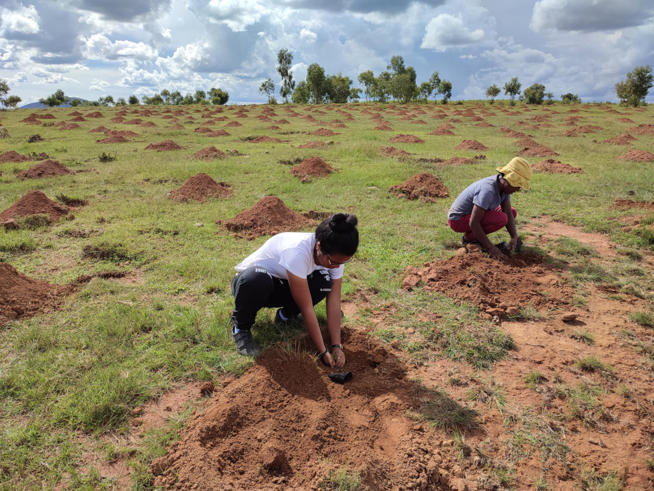 Participating in reforestation activities